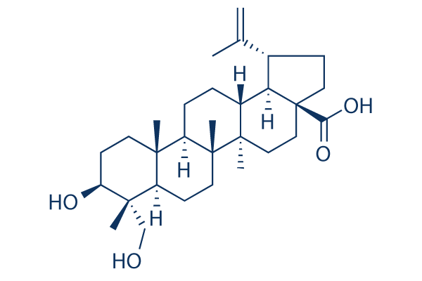 23-Hydroxybetulinic acid