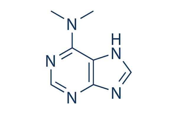 6- (Dimethylamino)purine