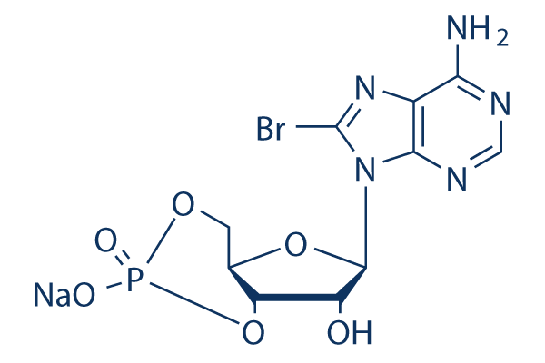 8-Bromo-cAMP (8-Br-cAMP)Sodium Salt