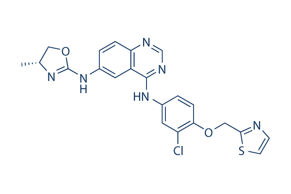 Varlitinib