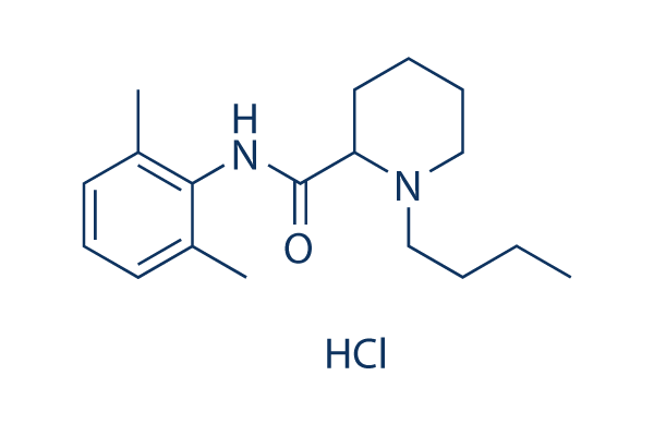 Bupivacaine HCl