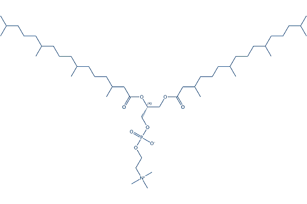 DPhPC