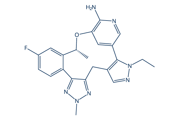 Zidesamtinib