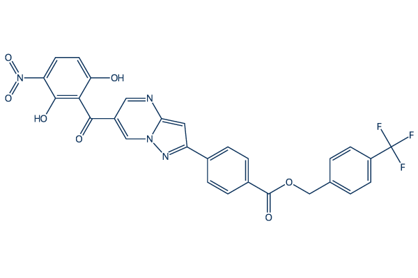 DDO-2728