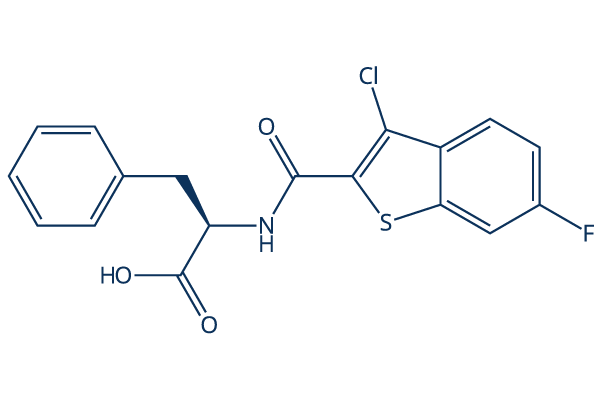 CU-CPT 4a
