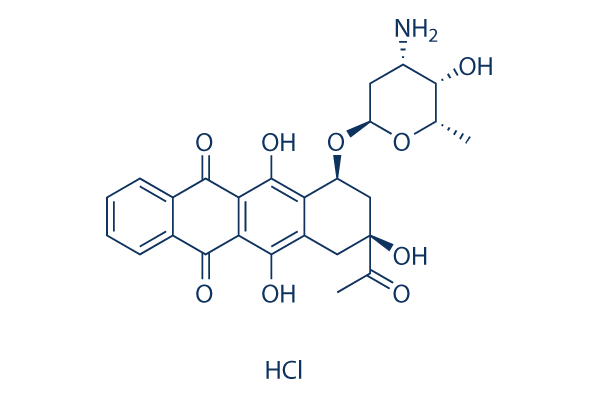 Idarubicin HCl