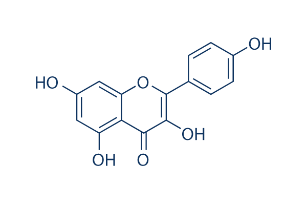 Kaempferol