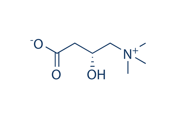 L-carnitine (Levocarnitine)