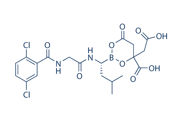 Ixazomib Citrate (MLN9708)Analogue