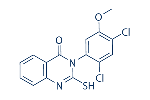 Mdivi-1