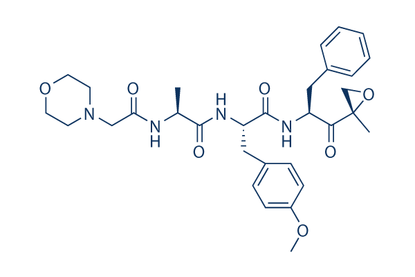 ONX-0914 (PR-957)