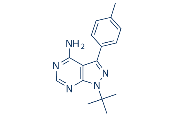 PP1