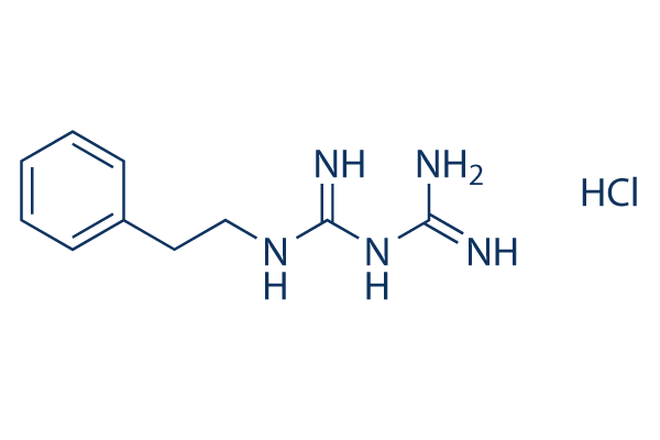 Phenformin HCl