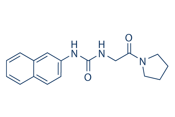 XY1