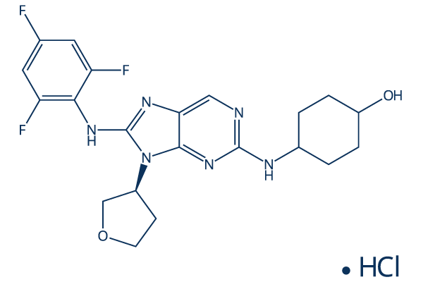 Tanzisertib Hydrochloride (CC-930)