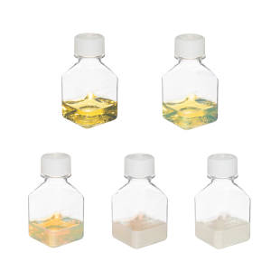 Silver Nanoparticles Introduction Kit (20nm-100nm, endotoxin free)