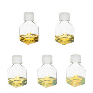 Silver Nanoparticles Introduction Kit (10nm-50nm, reactant free)