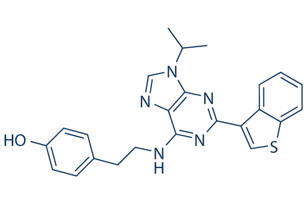 Stemregenin 1 (SR1)