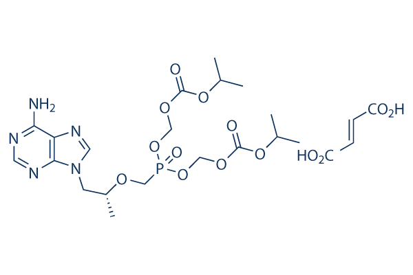 Tenofovir Disoproxil Fumarate