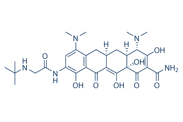 Tigecycline
