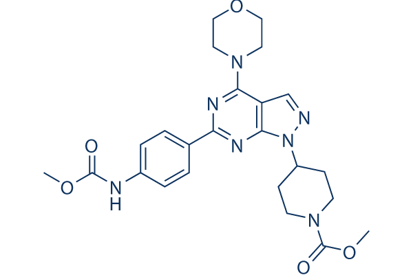 WYE-354