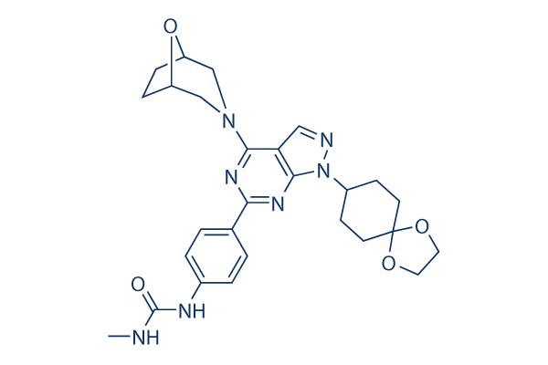 WYE-125132 (WYE-132)