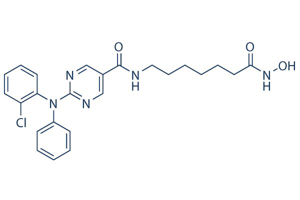 Citarinostat (ACY-241)