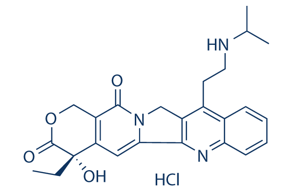 Belotecan (CKD-602)hydrochloride