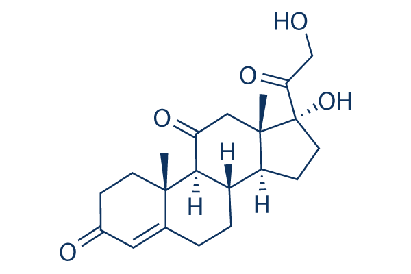 Cortisone