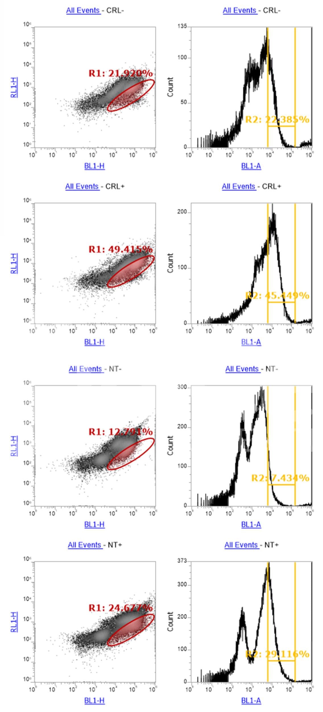 SEZ6 Monoclonal Antibody (B4 Clone)
