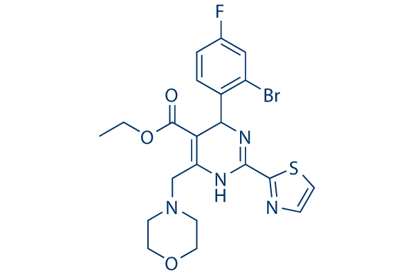 Morphothiadin