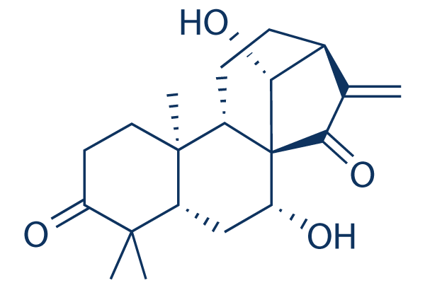 Glaucocalyxin A