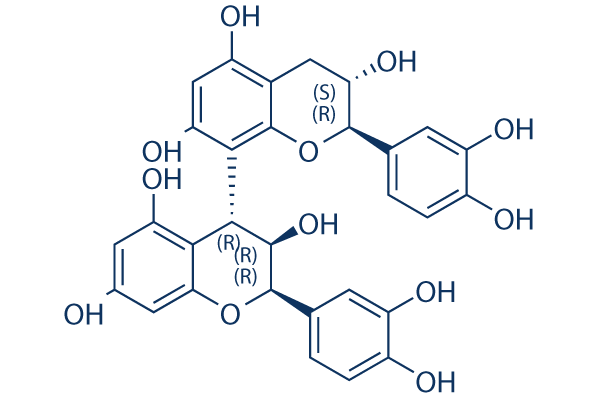 Procyanidin B1