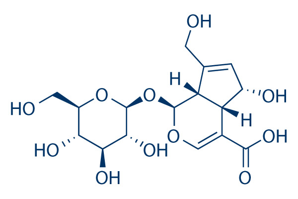 Deacetylasperulosidic acid