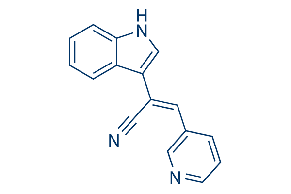 Paprotrain