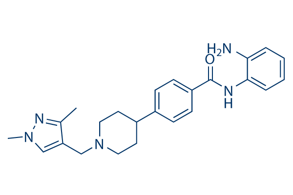 CXD101