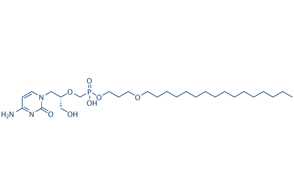 Brincidofovir