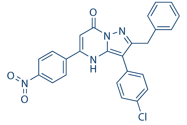 NAV-2729