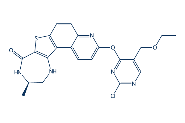 Gamcemetinib (CC-99677)