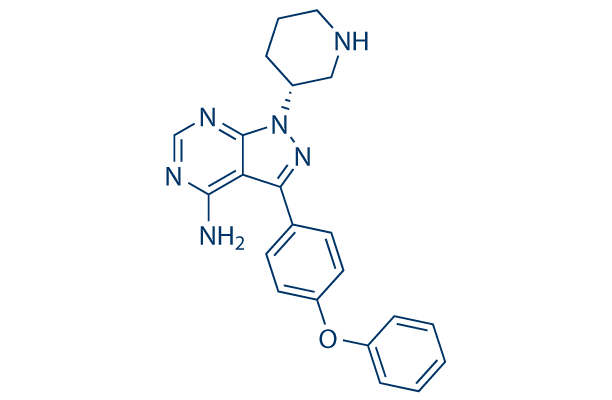 IBT6A