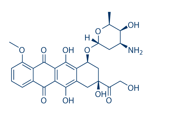 Doxorubicin
