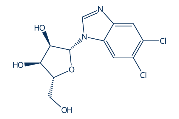 5,6-Dichlorobenzimidazole 1-beta-D-ribofuranoside