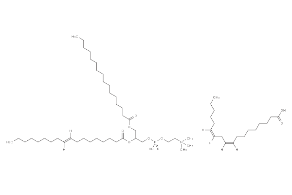 Fat Emulsion (20%)