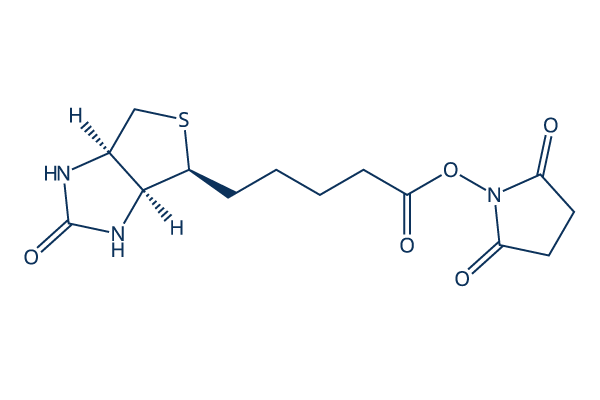 (+)-Biotin N-hydroxysuccinimide ester