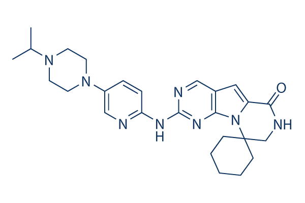 G1T38