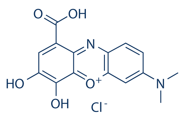 Gallocyanine
