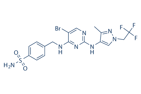 GSK8612