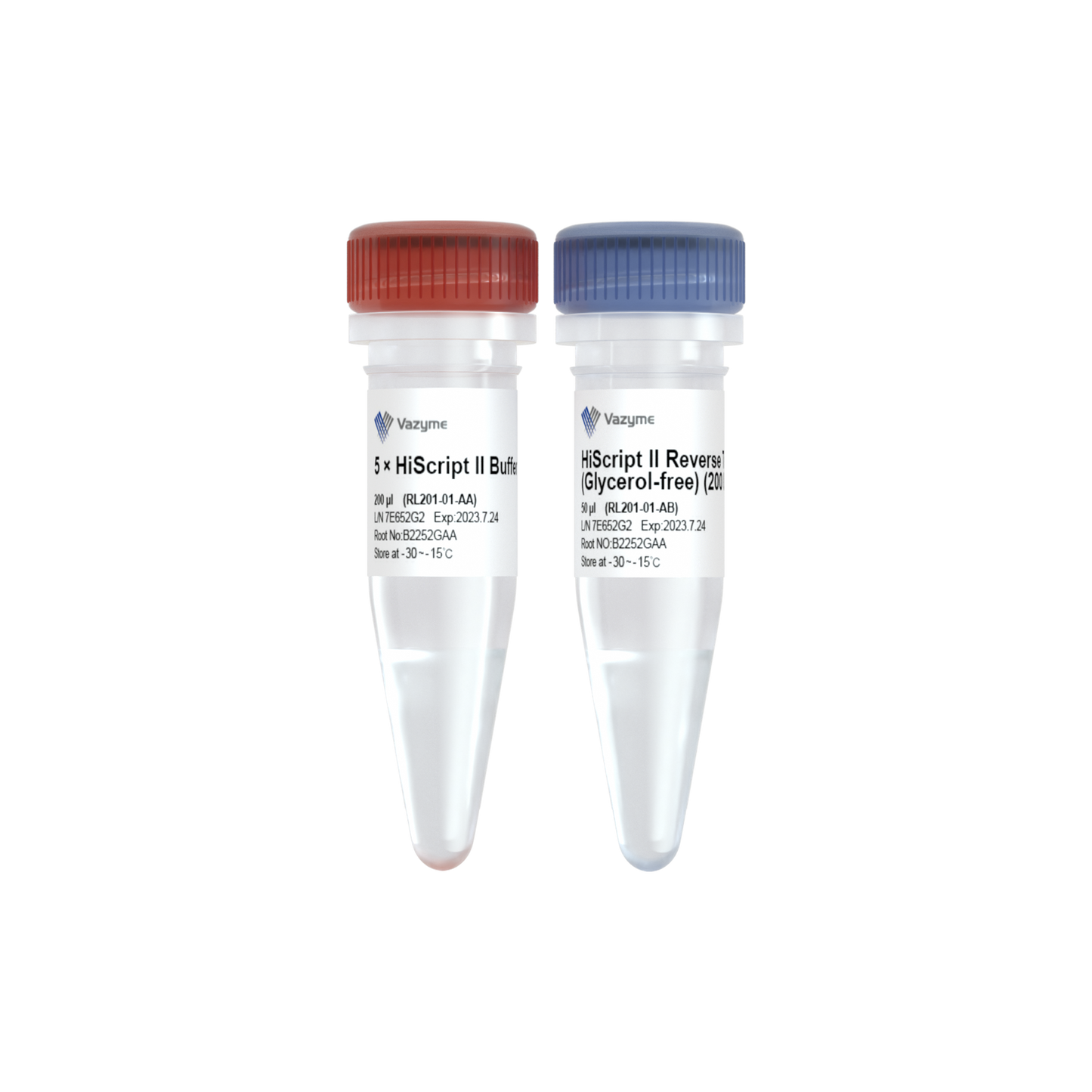 HiScript II Reverse Transcriptase (Glycerol-free)
