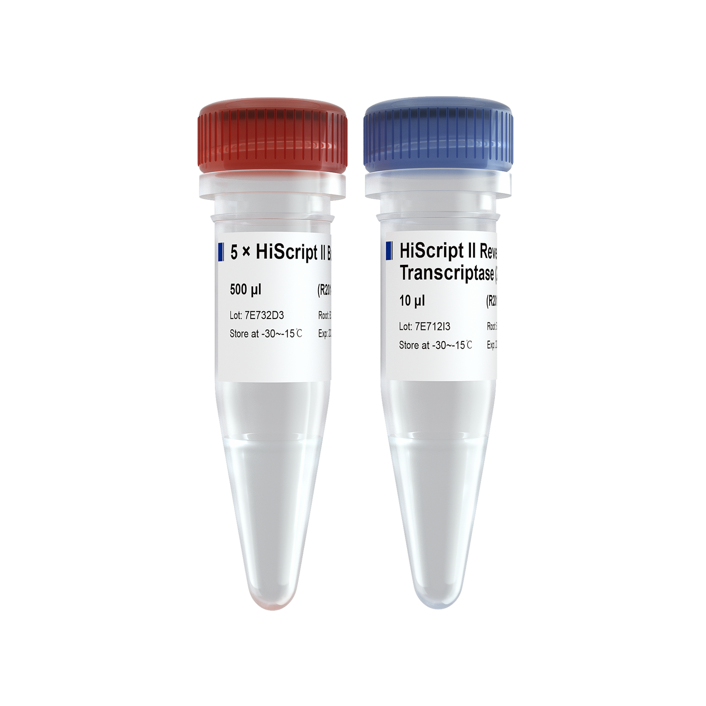 HiScript II Reverse Transcriptase