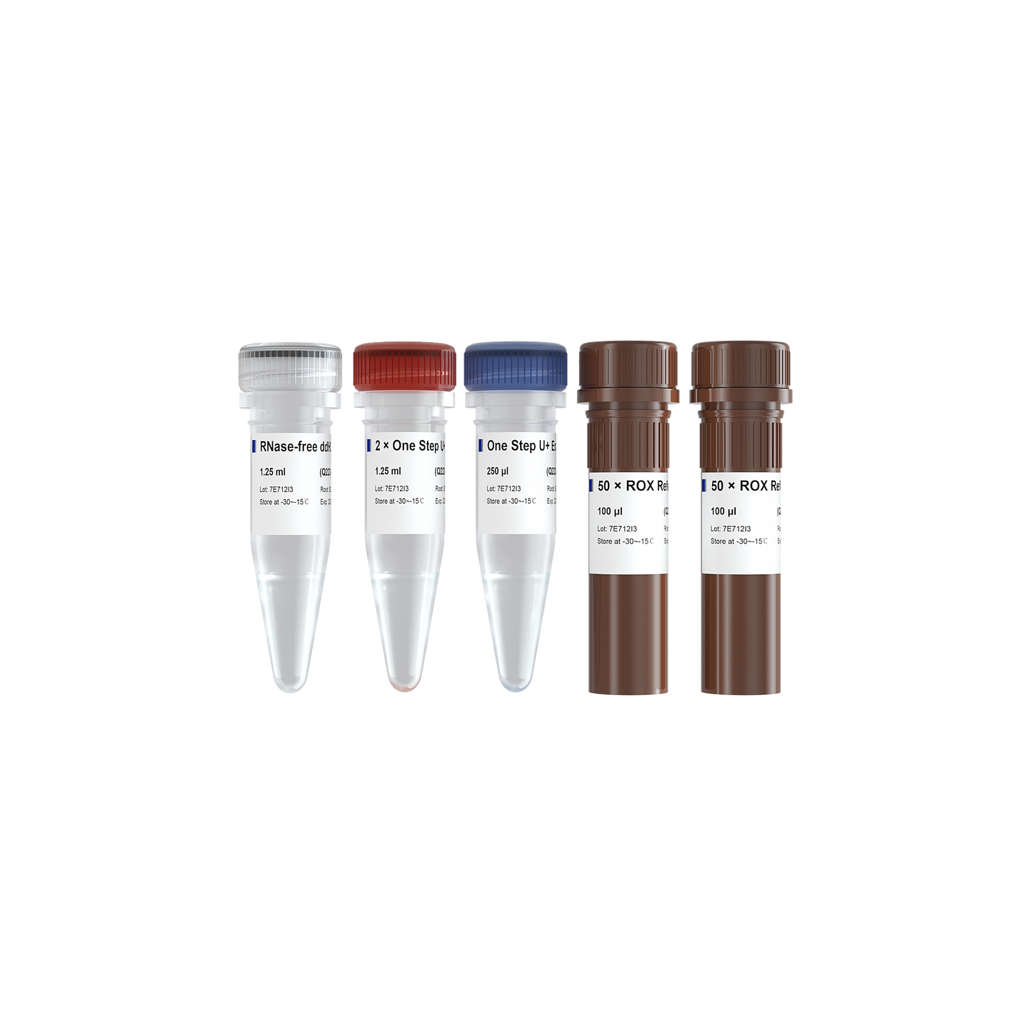 HiScript II U+ One Step qRT-PCR Probe Kit